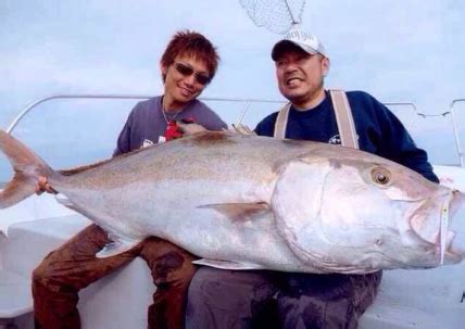 夢見釣到大魚|夢見釣到大魚